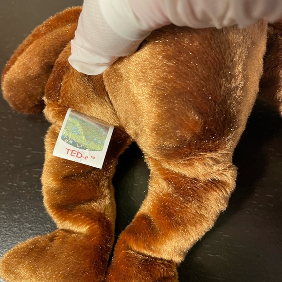 TED-e Ty Beanie Baby 2002 // 3/$38 - Picture 8 of 10